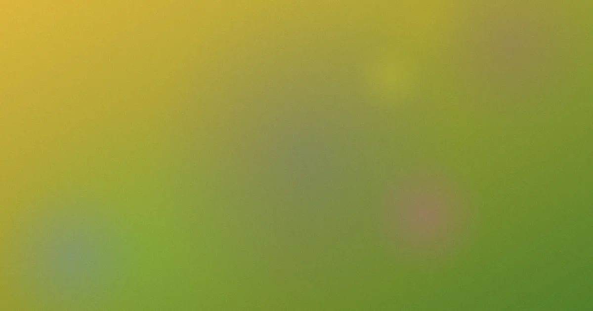不忠无删减推荐：新手完整观影指南
